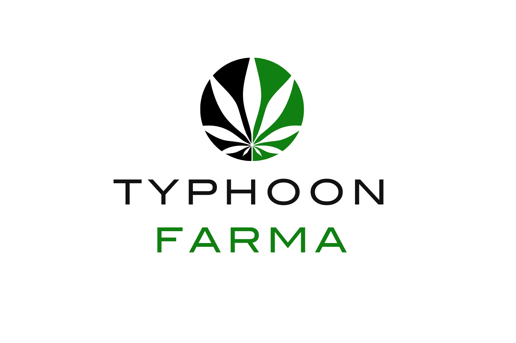 Typhoon Farma 1 (1)